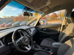 Kia Rondo 2014